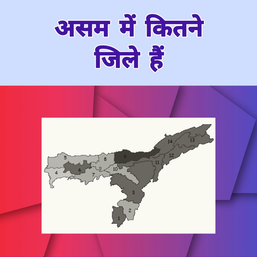 असम में कितने जिले हैं